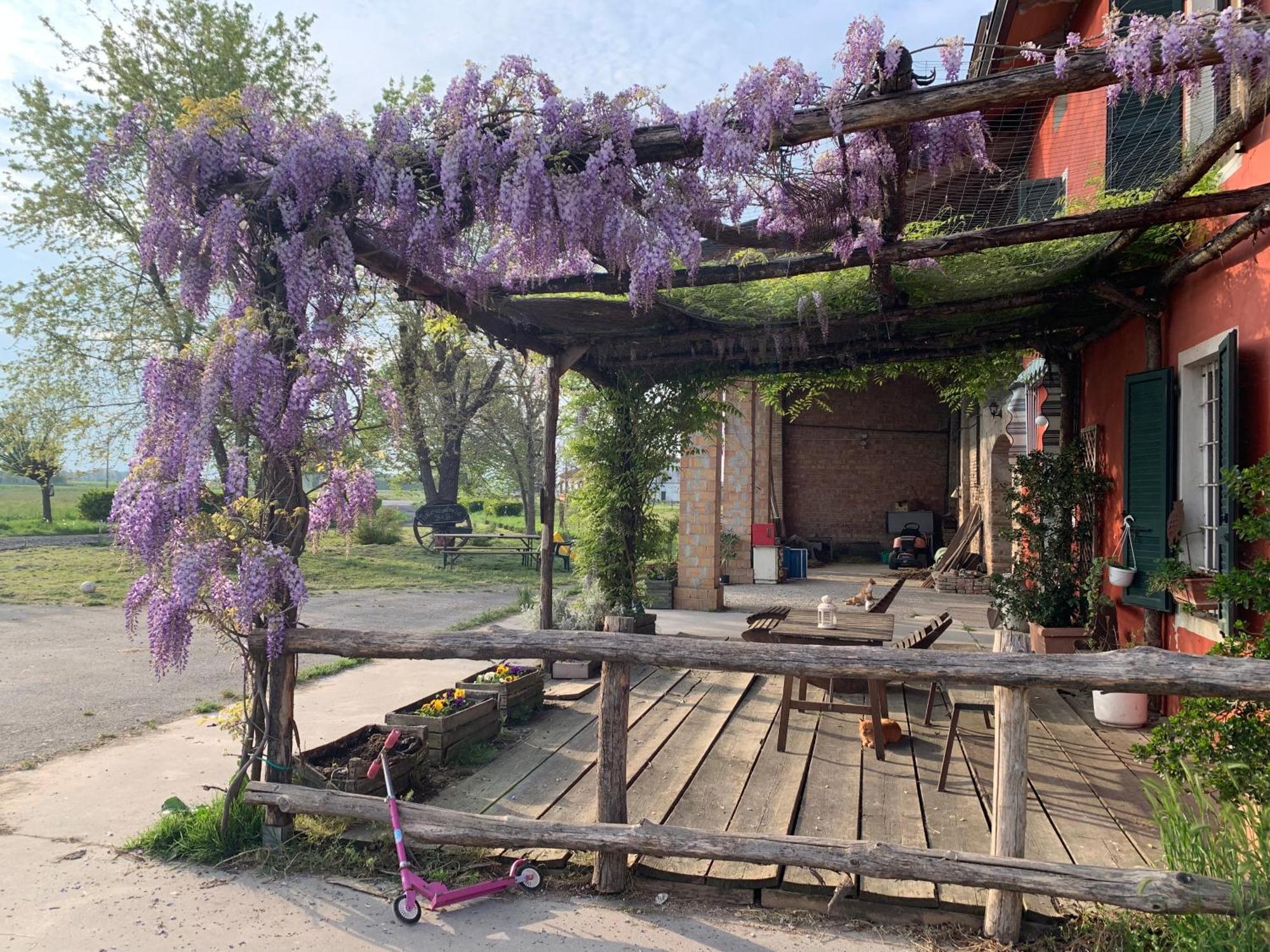 Fattoria Amelia Villa Santa Caterina  Exterior photo
